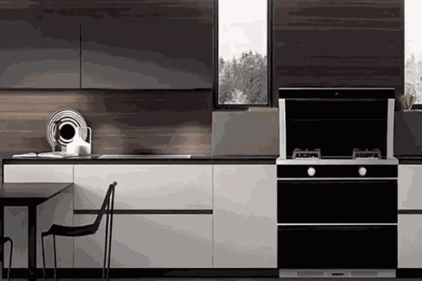 热兴集成灶 热兴集成灶