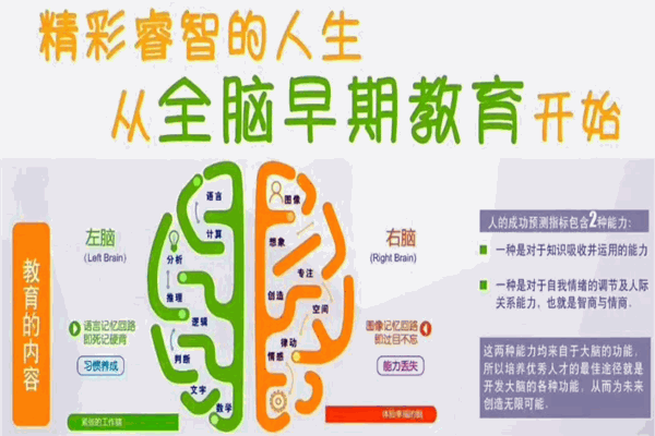 快乐小明星全脑开发教育