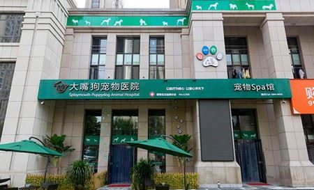 大嘴狗宠物医院加盟