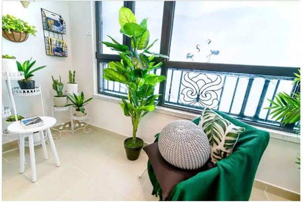 阳光地带阳台菜园加盟