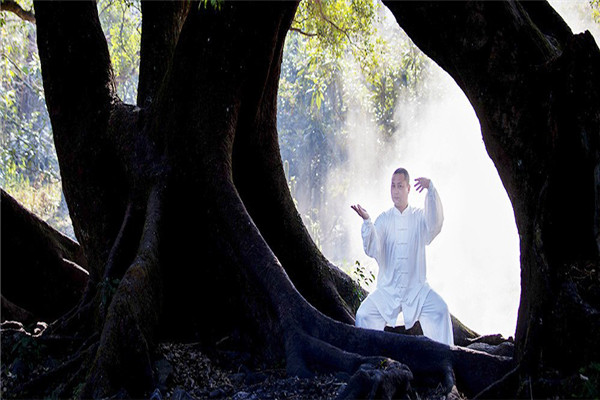 东方太极拳俱乐部