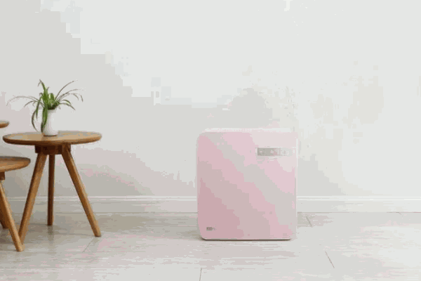 艾迪嘉空气净化器