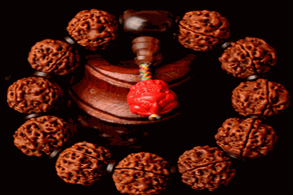 天麒麟本命年加盟 天麒麟本命年加盟