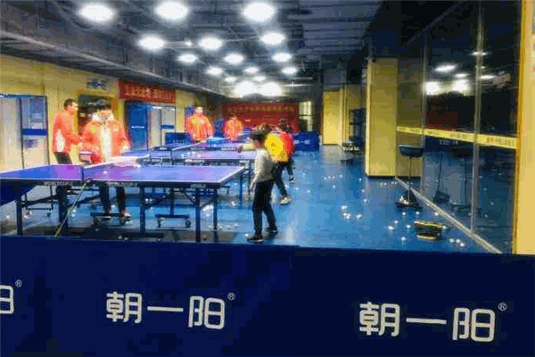朝一阳乒乓球培训