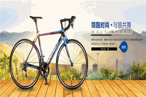 跑狼电动车 跑狼电动车