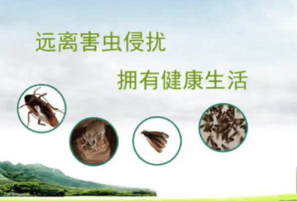 安欣有害生物防治 安欣有害生物防治
