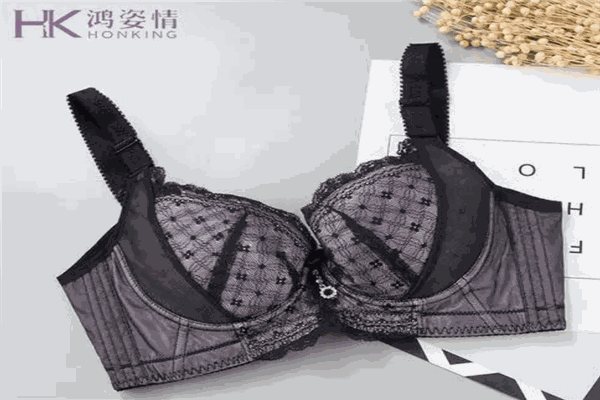 鸿姿情内衣 鸿姿情内衣