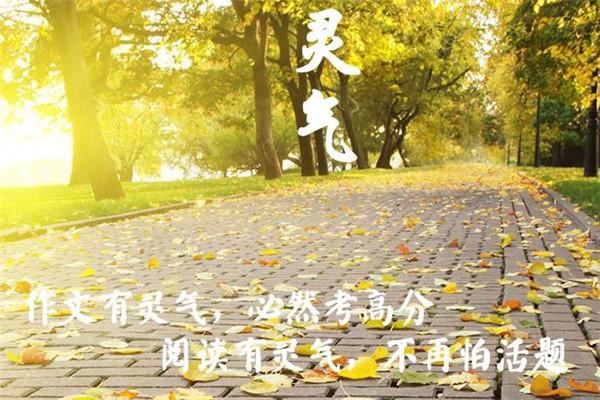 慧读慧写加盟 慧读慧写加盟