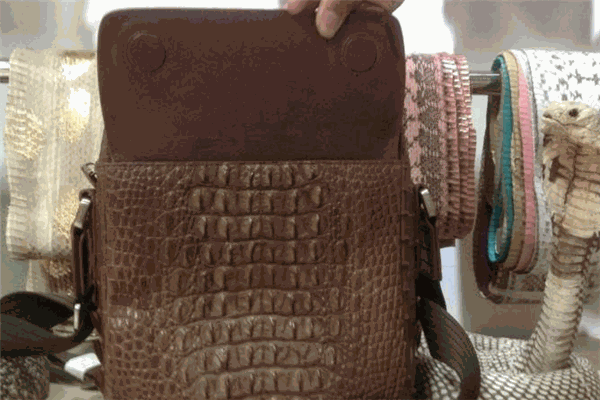 友联兽之霸皮具