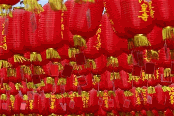 天天红灯笼厂加盟