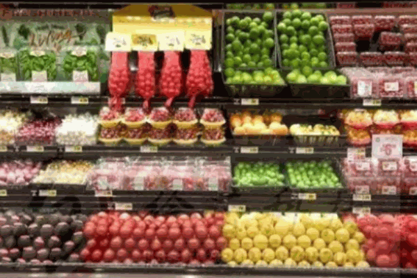 普霖食材 普霖食材