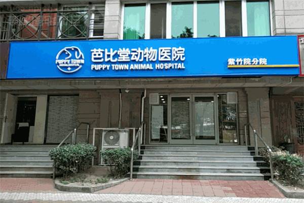 芭比堂动物医院