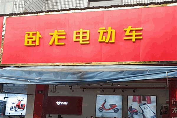 卧龙电动车 卧龙电动车