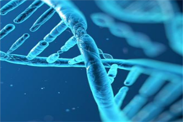 优迅医学基因 优迅医学基因