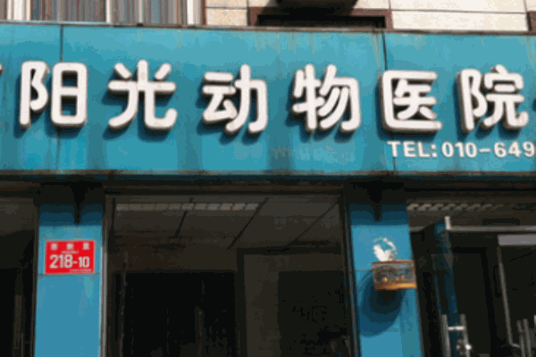 阳光动物医院