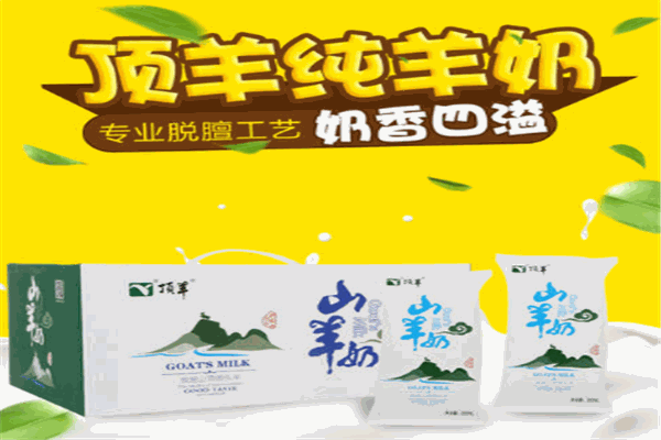 顶羊乳业