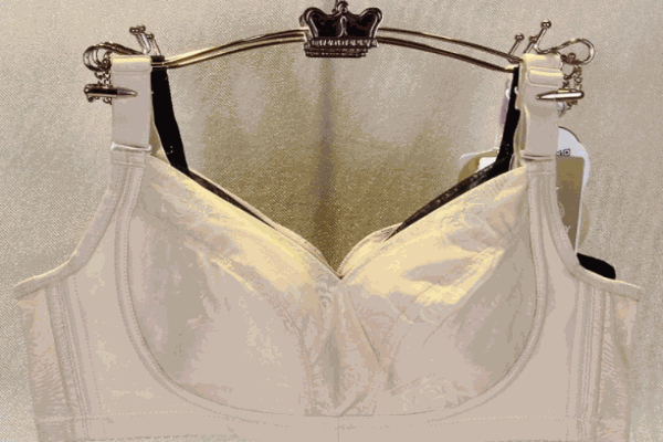 完美体态内衣文胸