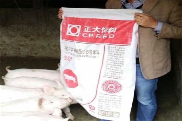 正大饲料养猪加盟 正大饲料养猪加盟
