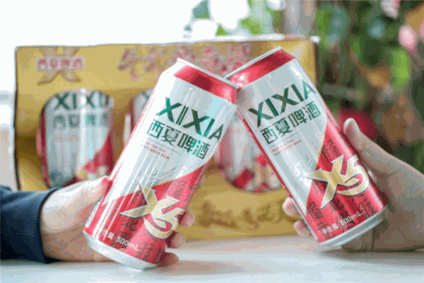 西夏啤酒 西夏啤酒