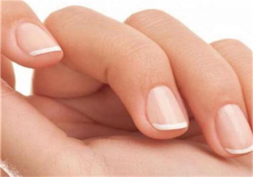 世龙世家甲丽净