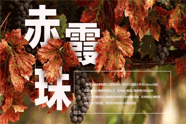 红宝石葡萄酒 红宝石葡萄酒