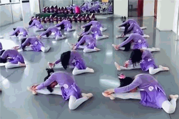 华忠舞校 华忠舞校