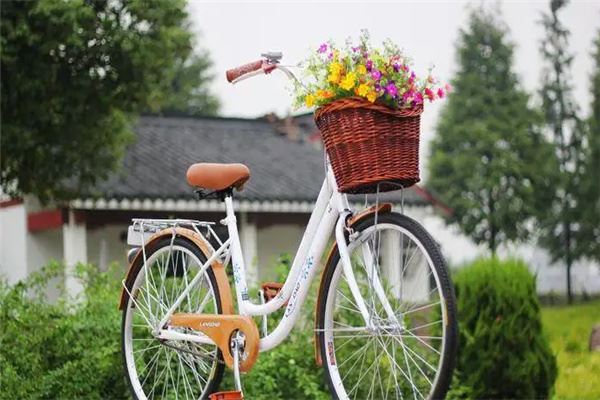 蓝岛自行车 蓝岛自行车