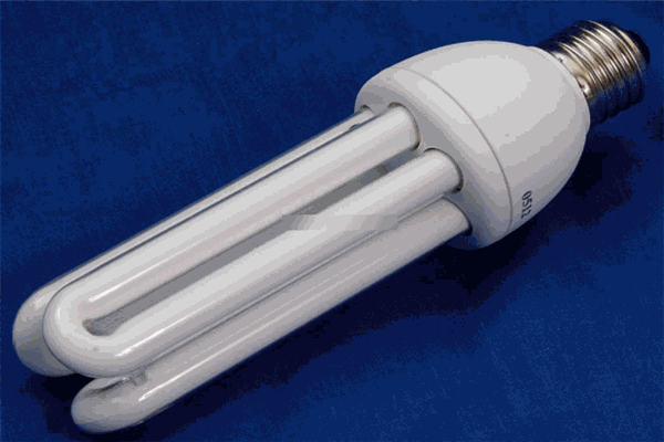 小器猫节能灯 小器猫节能灯