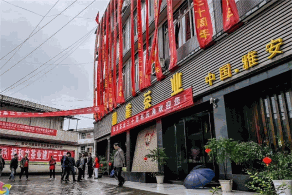 和龙茶业 和龙茶业