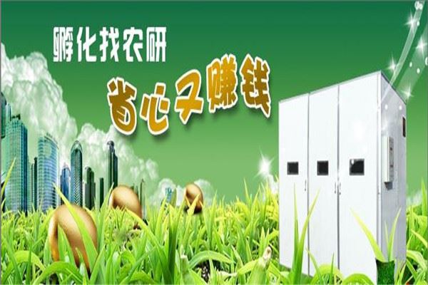 农研牌孵化机加盟