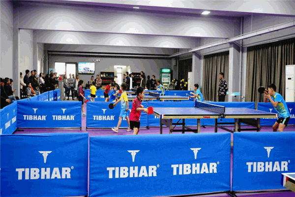 励鑫乒乓俱乐部 励鑫乒乓俱乐部