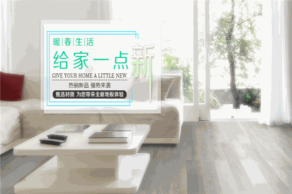 佰泰地板 佰泰地板