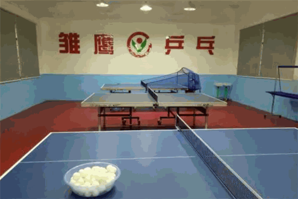 雏鹰乒乓球俱乐部