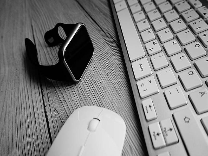 水孩子水育早教加盟课程加盟流程（水孩子水育早教加盟费多少）