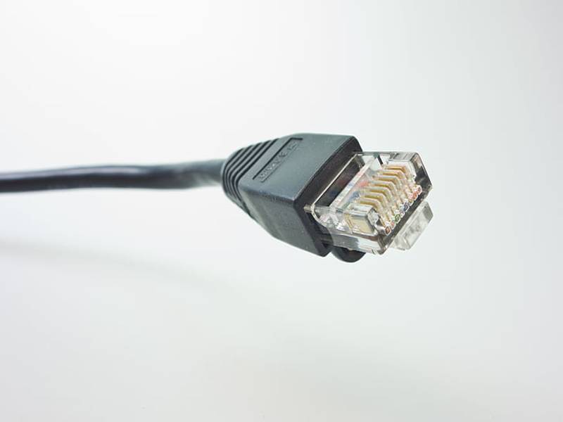 佛香烘干机（佛香烘干机图片）